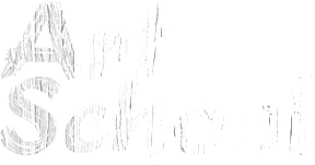 攻击网站服务器